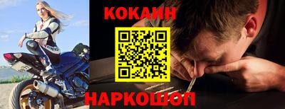 индика Камышлов