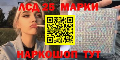 индика Камышлов