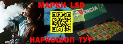 шишки Кандалакша