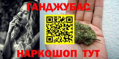 индика Камышлов