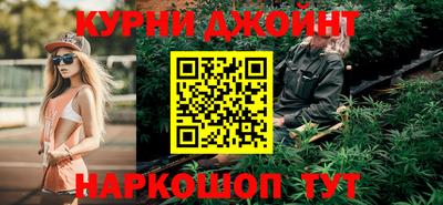 индика Камышлов