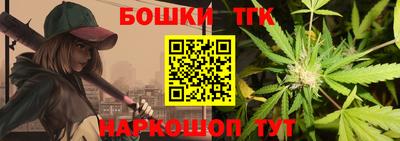 шишки Кандалакша