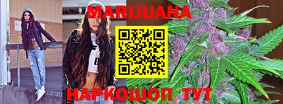 индика Камышлов