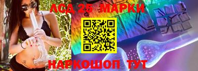 шишки Кандалакша