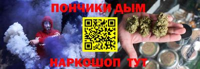 индика Камышлов