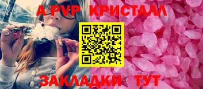 индика Камышлов