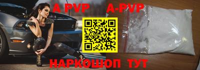 индика Камышлов