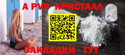 индика Камышлов