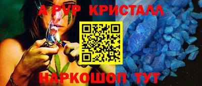 индика Камышлов
