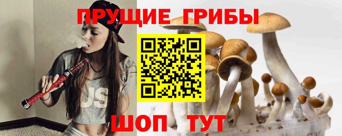Псилоцибиновые грибы MAGIC MUSHROOMS  Вход с VPN  Лабинск  Галлюциногенные грибы Psilocybine cubensis 
